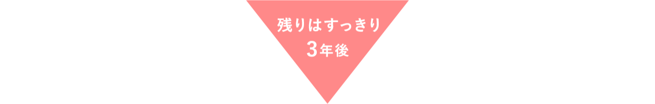残りはすっきり3年後(PC)