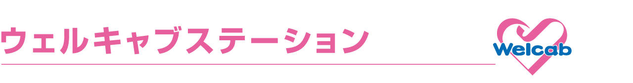 ウェルキャブステーション(PC)